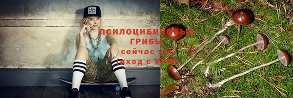 герыч Бугульма
