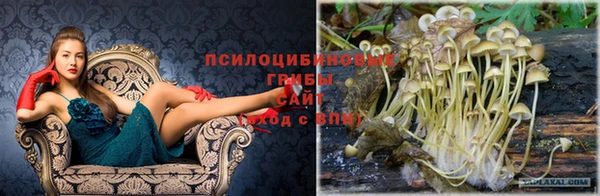 герыч Бугульма