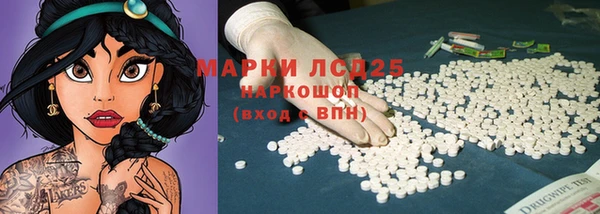 прущие грибы Орехово-Зуево