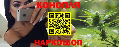 a pvp Брянск