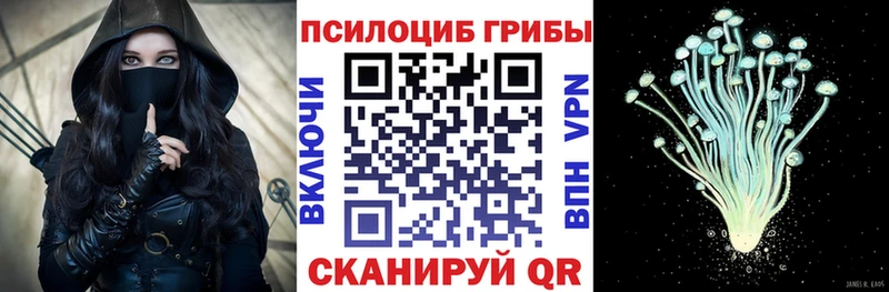 Псилоцибиновые грибы GOLDEN TEACHER  где купить наркоту  Верхний Уфалей 