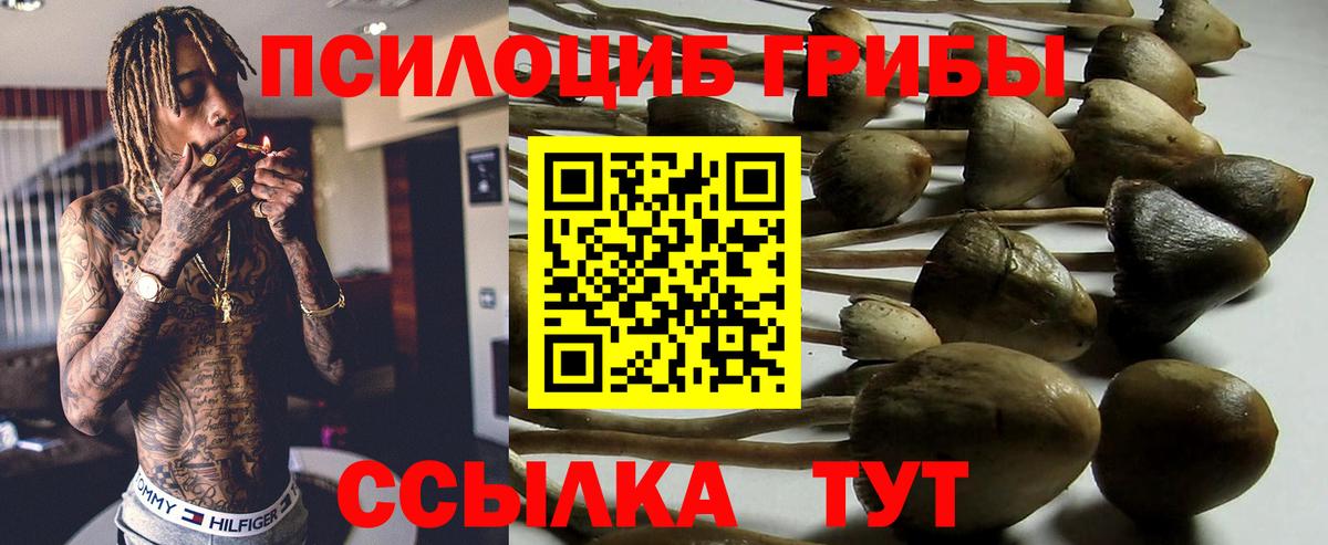 Псилоцибиновые грибы Magic Shrooms  Вход с VPN  Верхний Уфалей 
